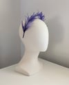 ALPINIA : PURPLE 