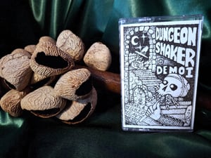 Image of Dungeon Shaker "Demo i"