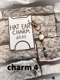 Image 13 of Ed's hats and charms