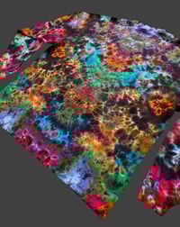 Image 3 of 2XL LS Earthy Rainbow
