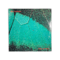 Image 1 of The Charlottes - Things Come Apart LP