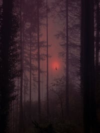 Slowly, the Veil of Night Thickens