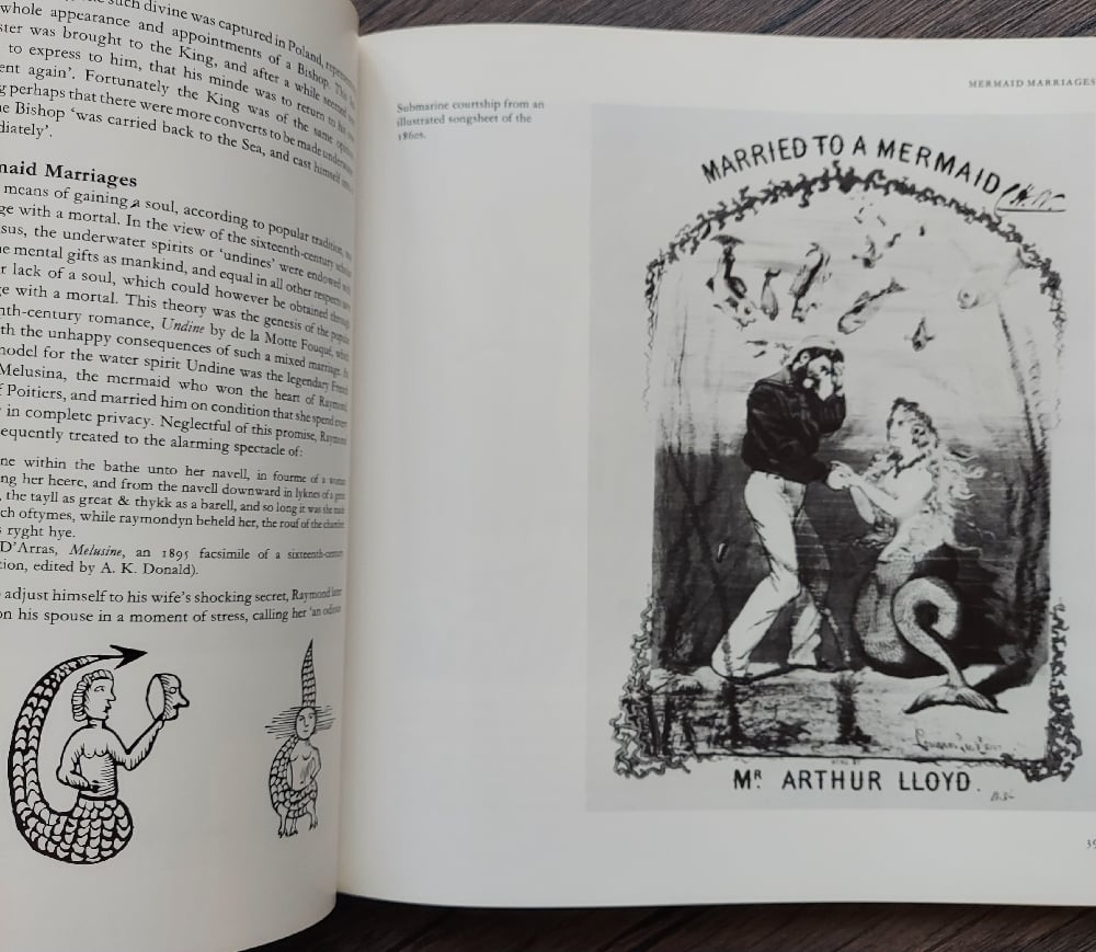 Mermaids by Beatrice Phillpotts