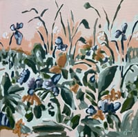 Marsh
