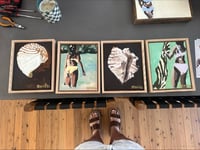 Image 9 of Island Shell Original