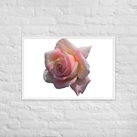 Image 1 of Floral Framed poster 2