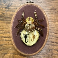 Image 4 of Specimen spider (b,  4x5 inches)