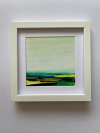 Yorkshire Rapeseed Fields Study 2