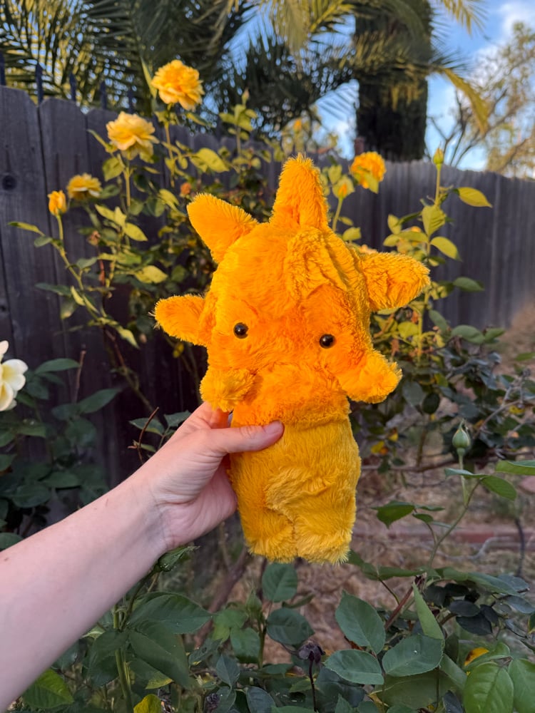 Image of Sun baby