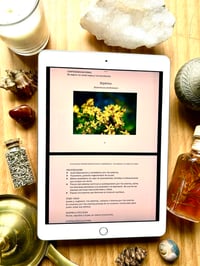 Image 4 of Ebook Plantas silvestres & comestibles 