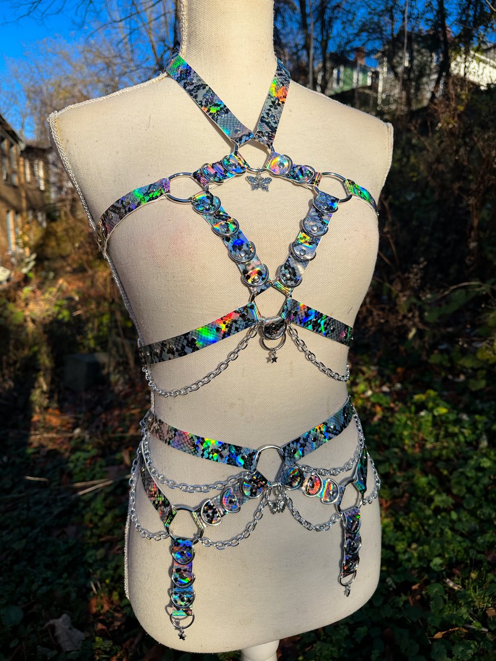 Prism Harness Set