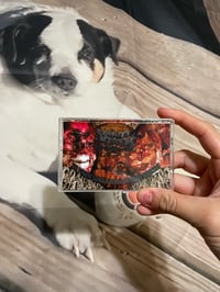 CASKET MUSH “THE PUNGENT STENCH OF ROT AND INFECTIOUS SUBJECTION” CASSETTE 