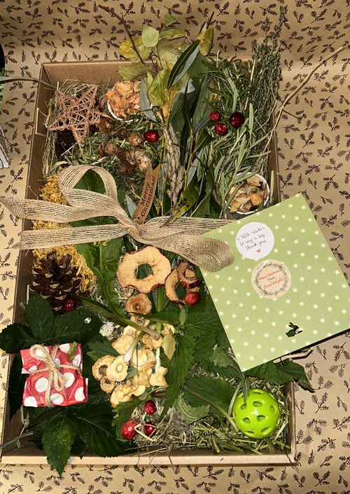 Image of Christmas large forage tray with Christmas themed items