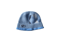 Image of blueberry s18 beanie 