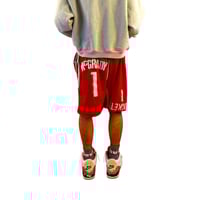 Image 4 of TFS Reconstructed Shorts v3