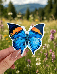 Image 1 of Oak Leaf Butterfly sticker