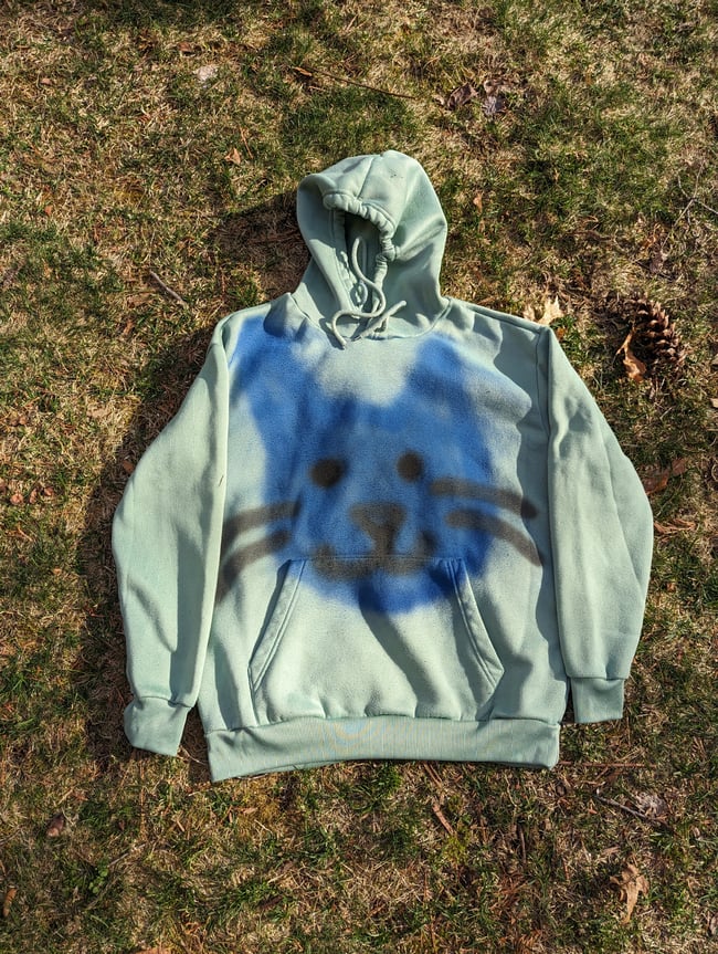 Blooberry C@ Hoodie 1/1 