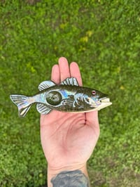 Image 1 of Pre order Bass - Red Eye