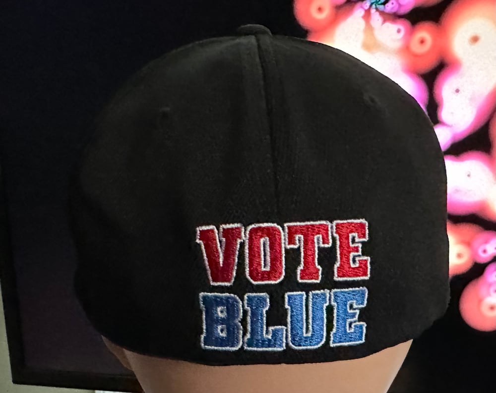 SSD Democracy hat with Vote Blue rear logo & Save Democracy side logo 