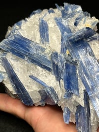 Image 10 of Blue Kyanite & Quartz Specimen #2449