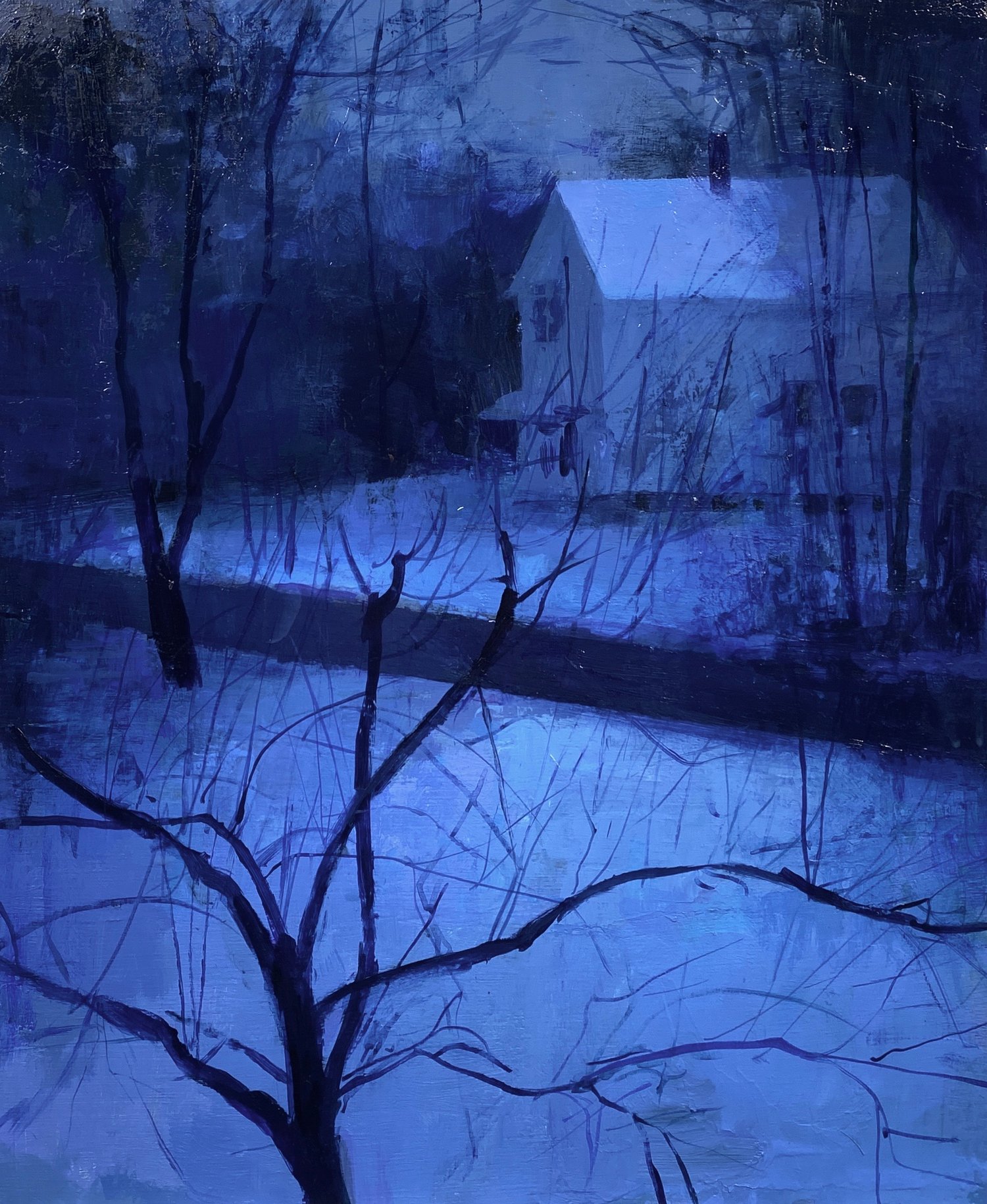 Image of Winter Nocturne With Crab Apple