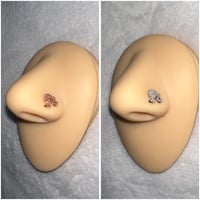 Barbz nose piercing 