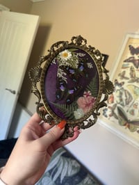 Image 3 of Purple Spotted Swallowtail Antique Frame