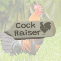 ROOSTER RAISER 😉 TAGS