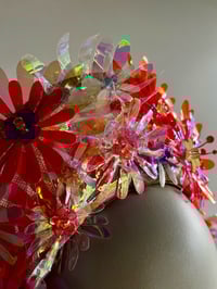 Image 3 of Vibrant halo
