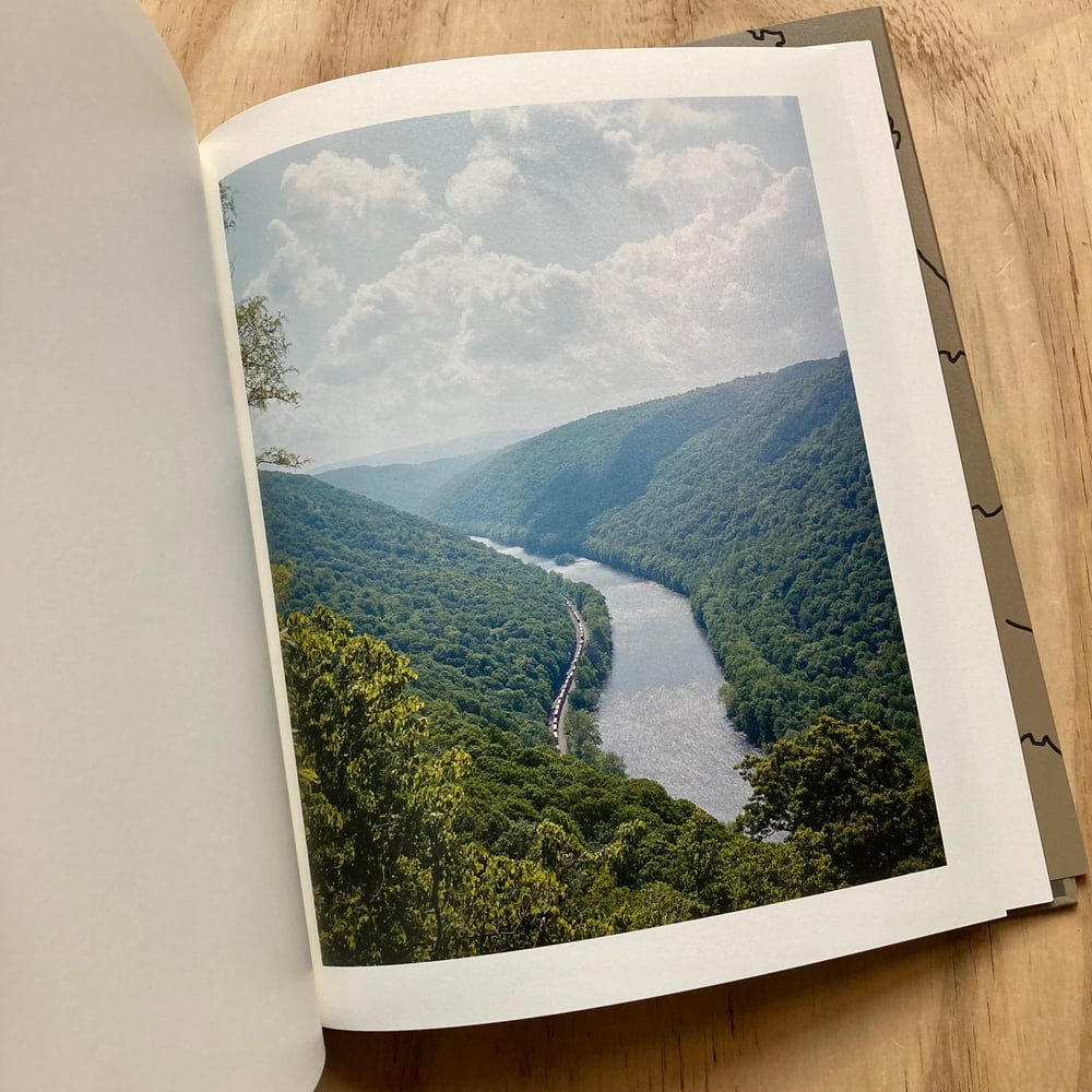 Jake Reinhart - Laurel Mountain Laurel