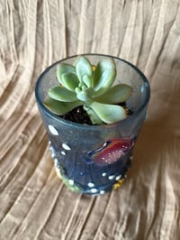 Image 2 of Ghost Plant in Plastic Coral Reef Cup