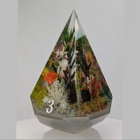 Image 3 of Four Seasons<br>80mm D4 Chonk