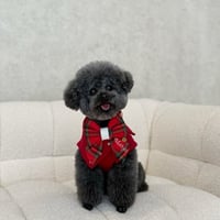 Image 4 of CUSTOM EMBROIDERED CHRISTMAS BOW - PLAID