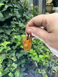 Image 2 of Tiny dancer In Baltic Amber 