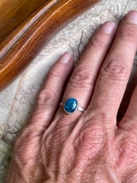 Image 7 of Neon Apatite