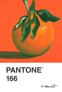 Orange Pantone