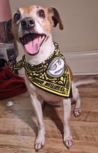 Image 2 of Blind Panic Devices Yellow Bandana 