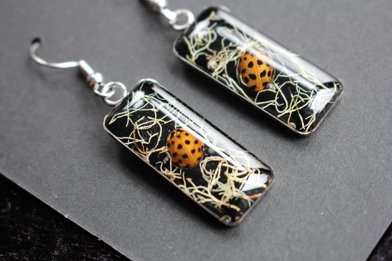 lady bird stainless steel earrings Image 5