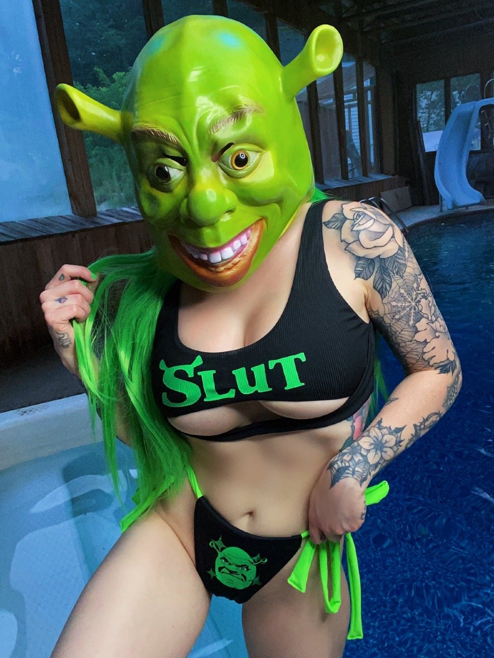 The slutty shrek set