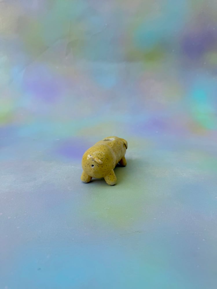 Image of optimistic puppy pipe