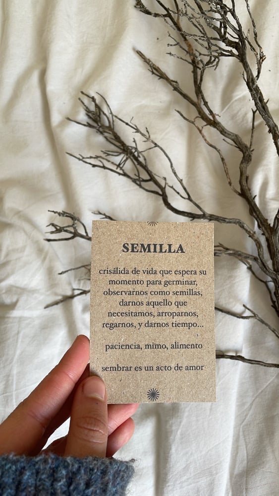 Image of oráculo MI VUELTA AL SOL