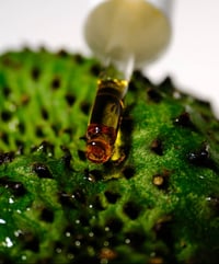 Image 9 of SOURSOP OIL | Pure Treatment