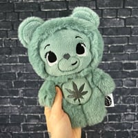 Image 1 of MUNCHKIN- Indica 