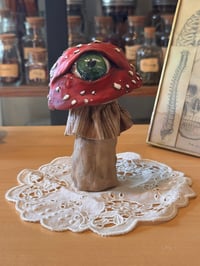 Image 8 of Mysterious Mushrooms