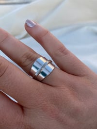 Image 2 of Silver Fox 