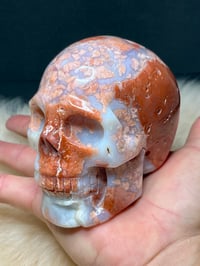 Image 16 of Druzy Pink Petal Agate Skull Carving #2240