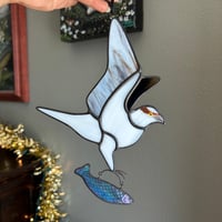 Image 1 of Osprey with a Catch