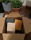 Solstice Soap Sampler