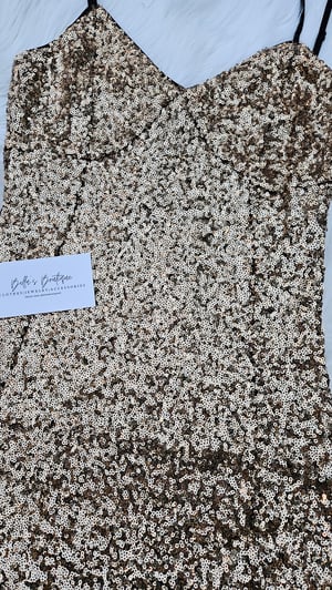 Image of Vienna Sequins Dress 