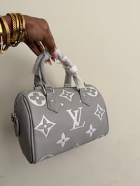Image 1 of LV nano speedy bag